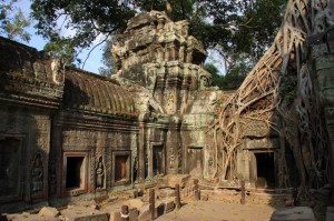 Ta Prohm Ta Prohm