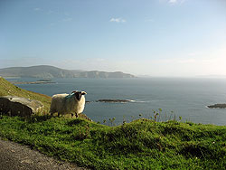 Along the Atlantic drive