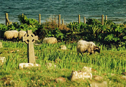 Achill Island - along the Atlantic Drive