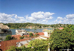Flores in Lago Petén Itzá (c) K. Busch