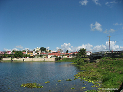 Flores (c) K. Busch