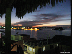 Flores (c) K. Busch