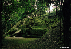 Temple in Tikal (c) K. Busch