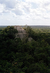 The Maya Site Calakmul (c) K. Busch