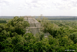 The Maya Site Calakmul Structur I (c) K. Busch